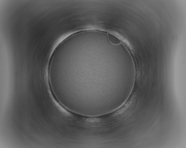 X0000110771239200906151319