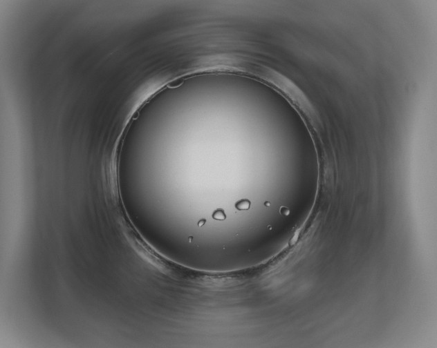 X0000110771242200906151319