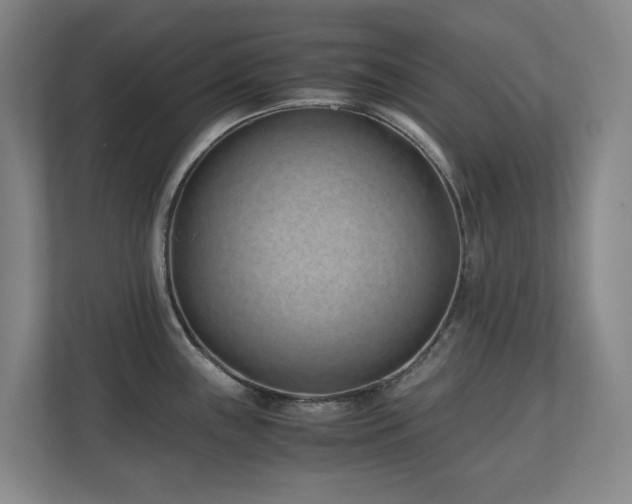 X0000110771243200906151319