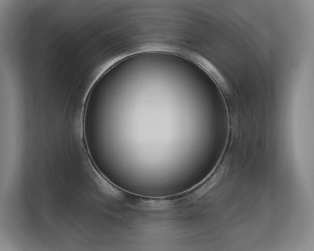 X0000110771244200906151319