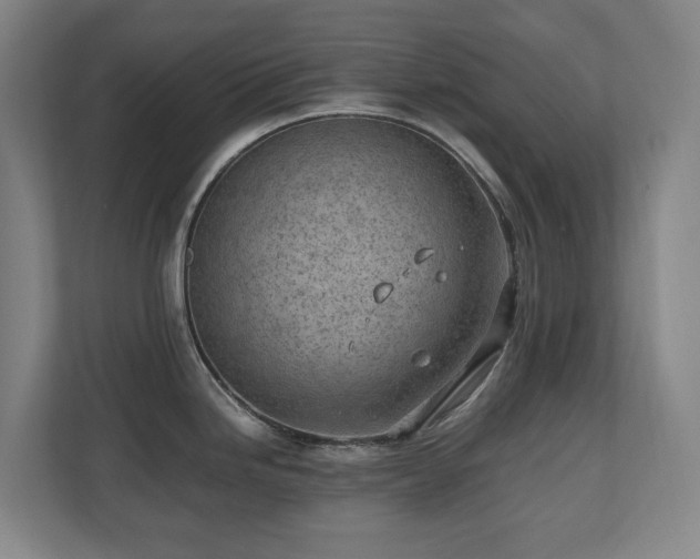X0000110771246200906151319