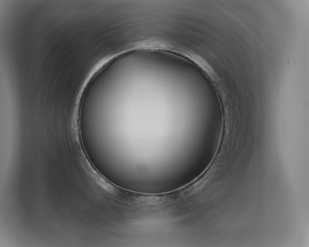 X0000110771248200906151319