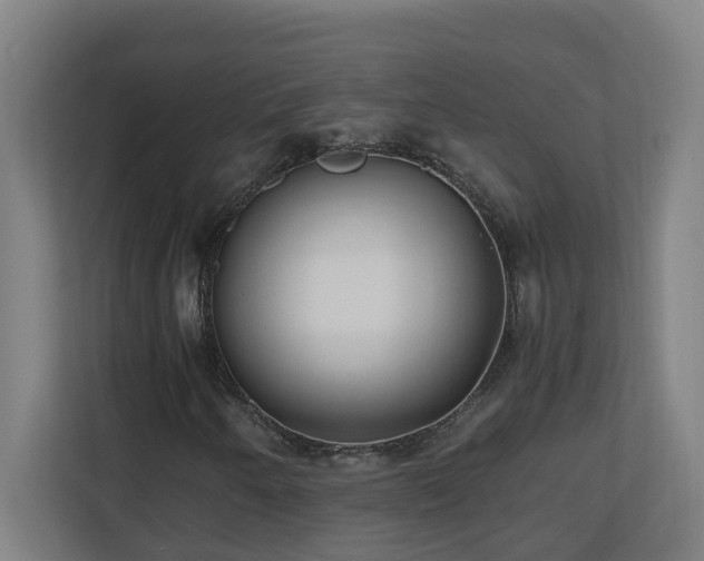 X0000110771250200906151319