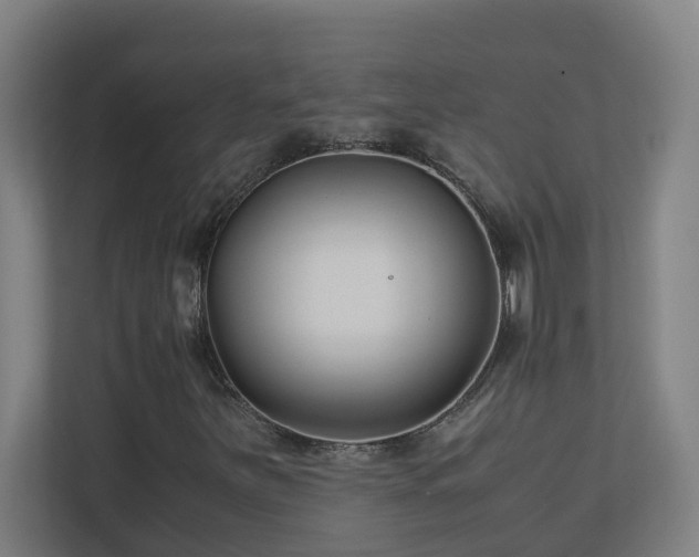 X0000110771251200906151319