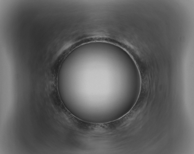 X0000110771255200906151319
