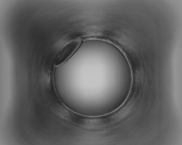 X0000110771257200906151319