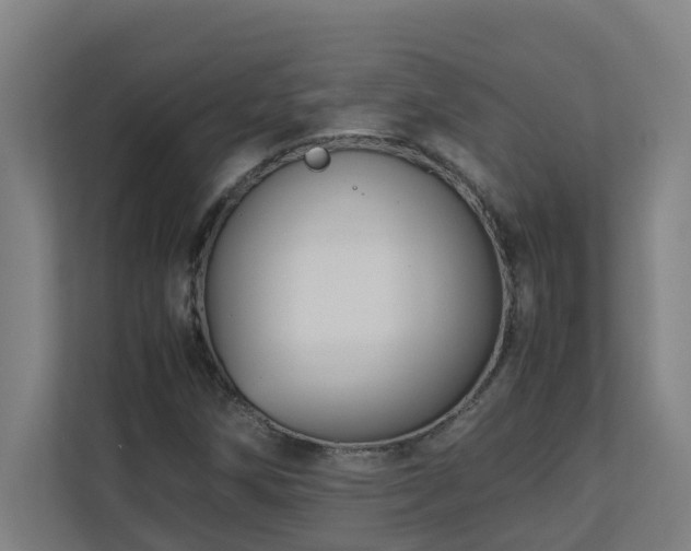 X0000110771258200906151319