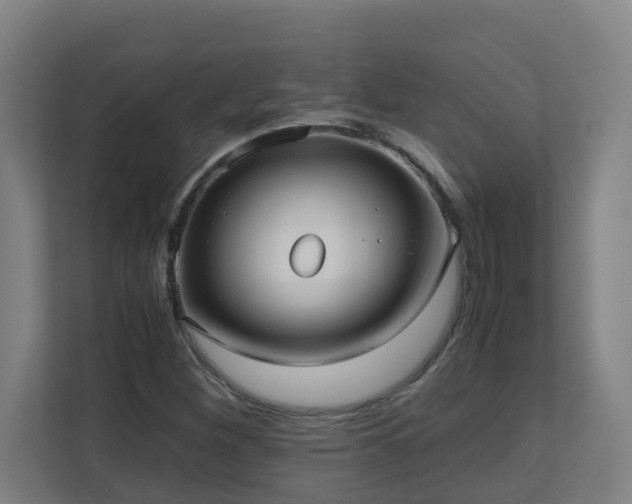 X0000110771260200906151319