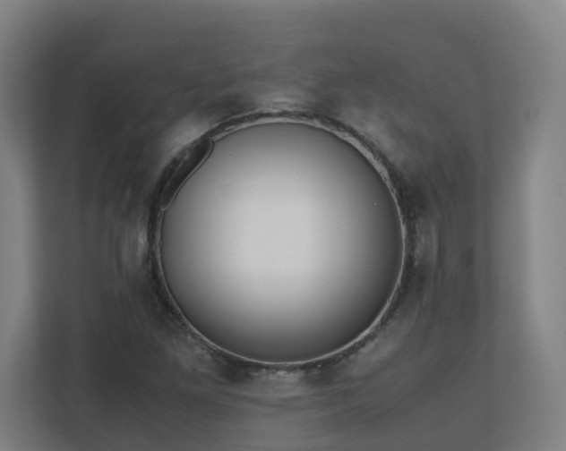 X0000110771261200906151318