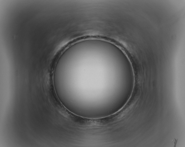 X0000110771263200906151318