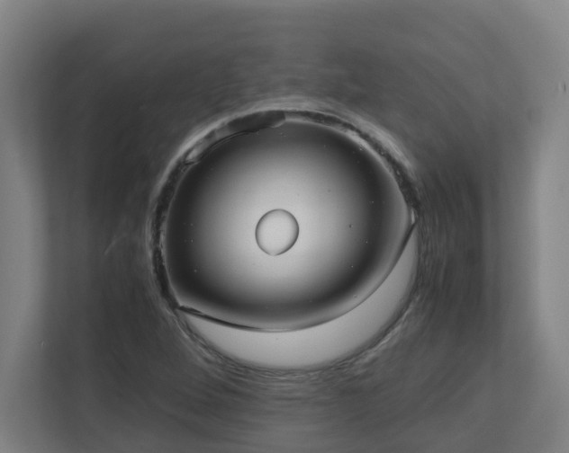 X0000110771264200906151318