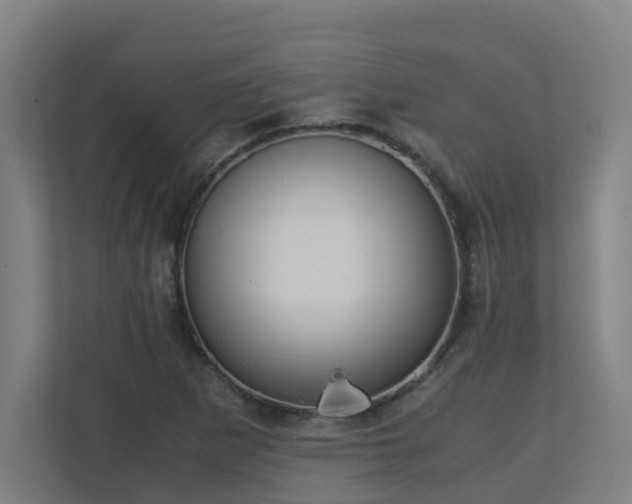 X0000110771265200906151318