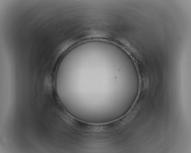 X0000110771266200906151318