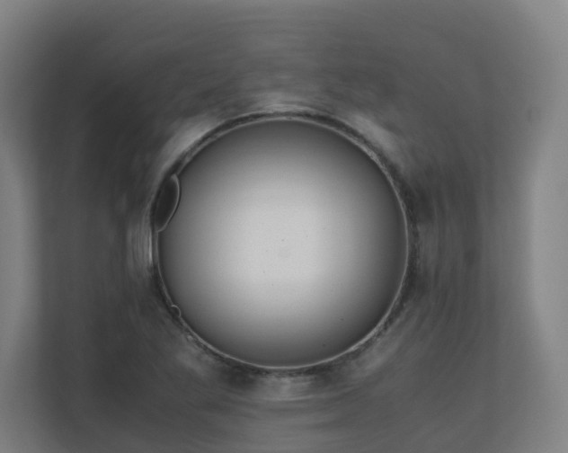 X0000110771269200906151318