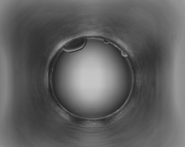 X0000110771270200906151318