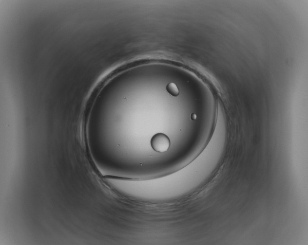 X0000110771272200906151318