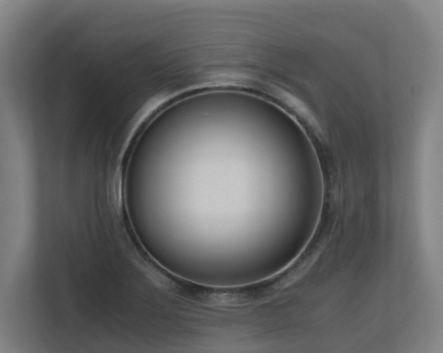 X0000110771275200906151318
