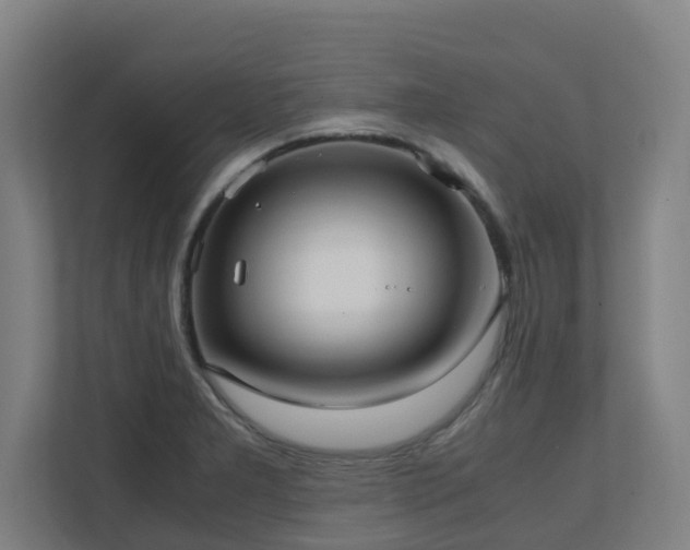 X0000110771277200906151318
