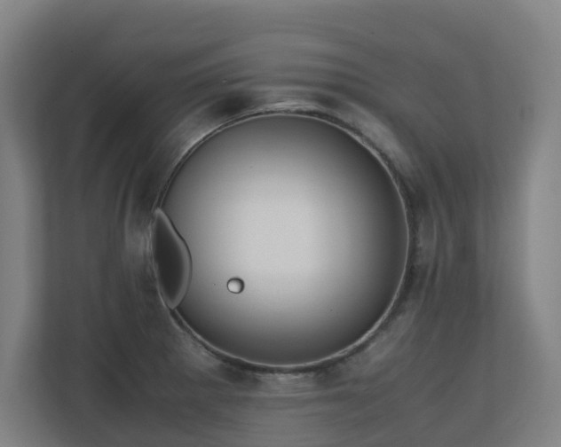 X0000110771281200906151318