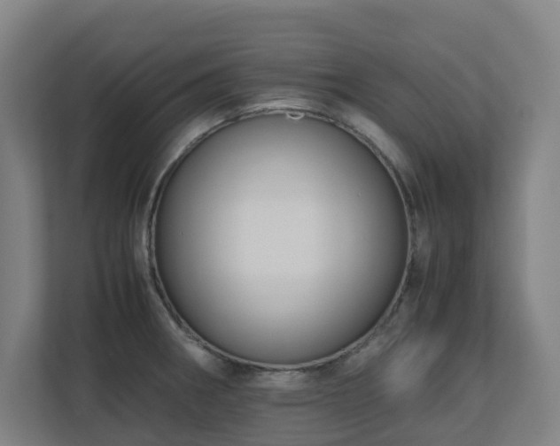 X0000110771282200906151318