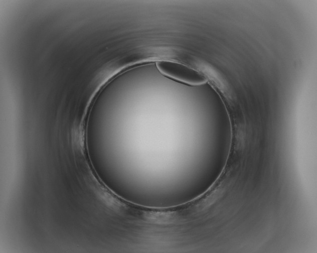 X0000110771284200906151318