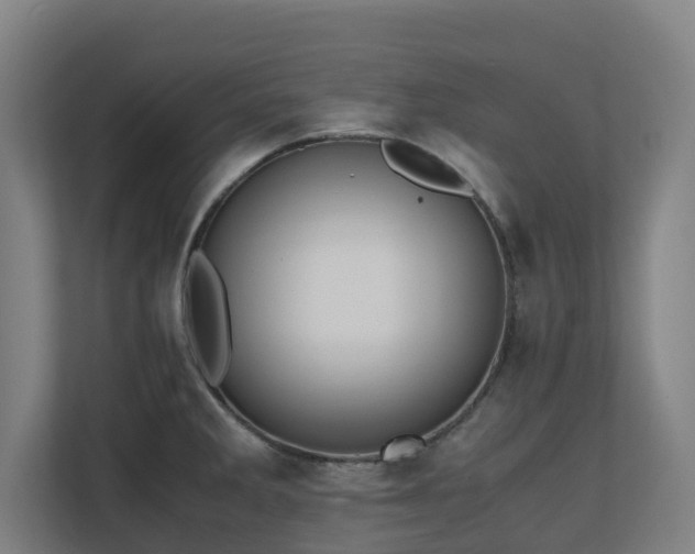 X0000110771285200906151318