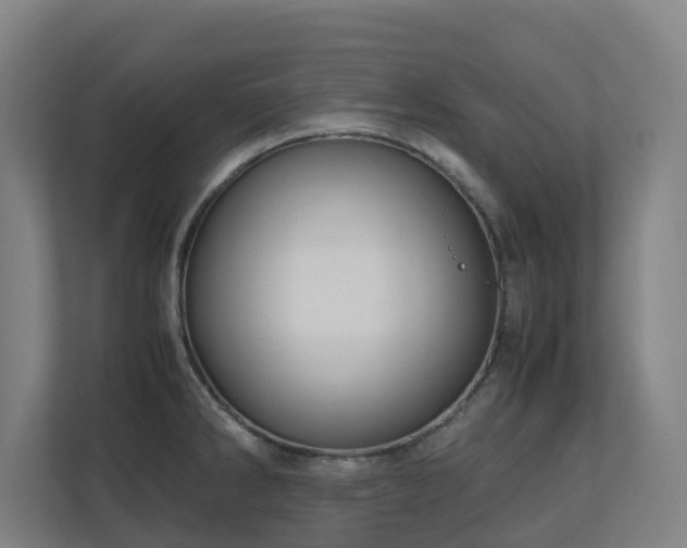 X0000110771286200906151318