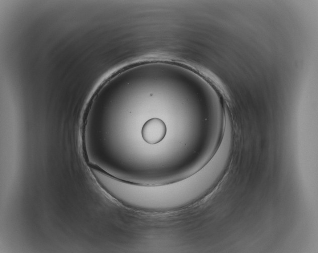 X0000110771288200906151318
