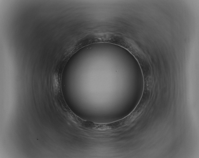 X0000110771298200906151317