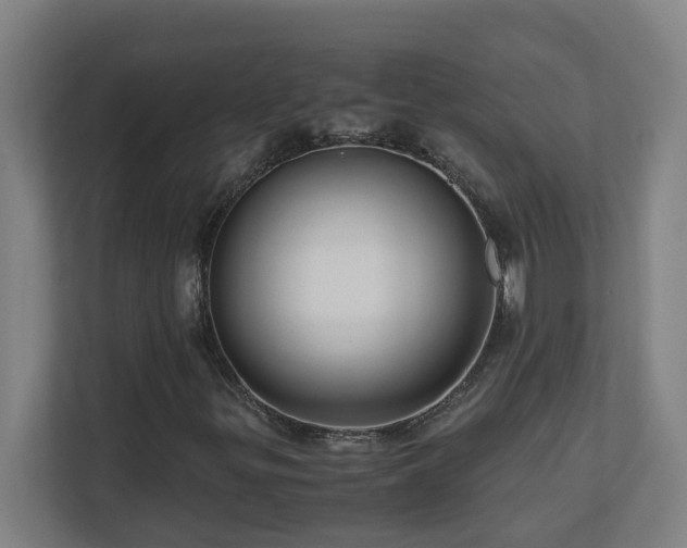 X0000110771299200906151317