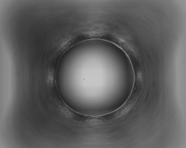 X0000110771300200906151317
