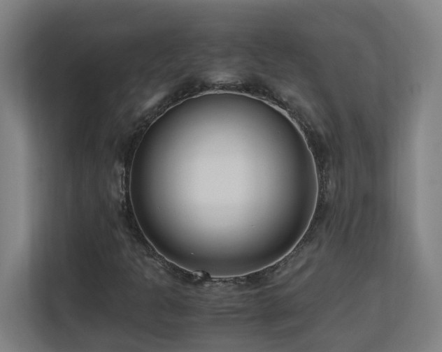 X0000110771301200906151317
