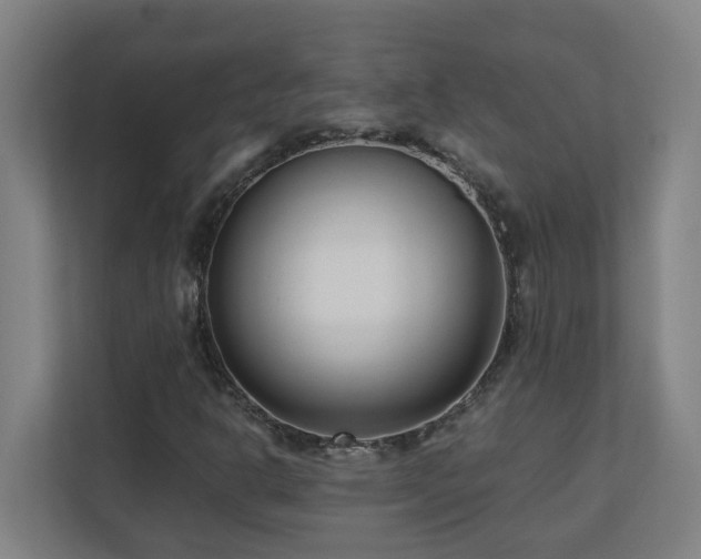 X0000110771302200906151317