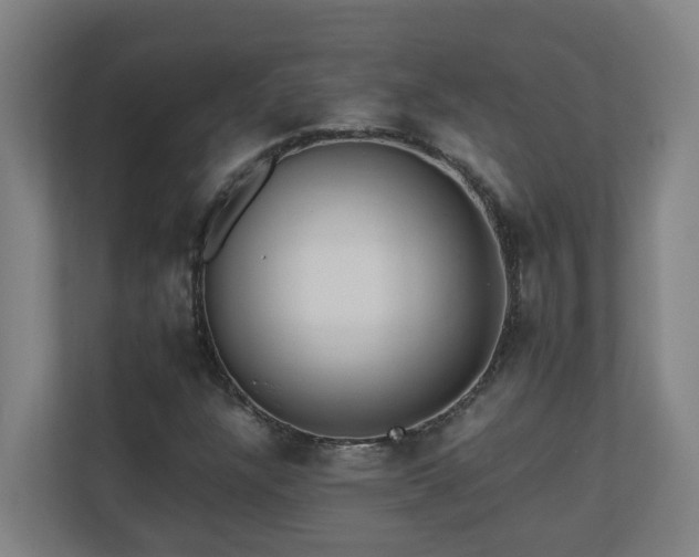 X0000110771304200906151318