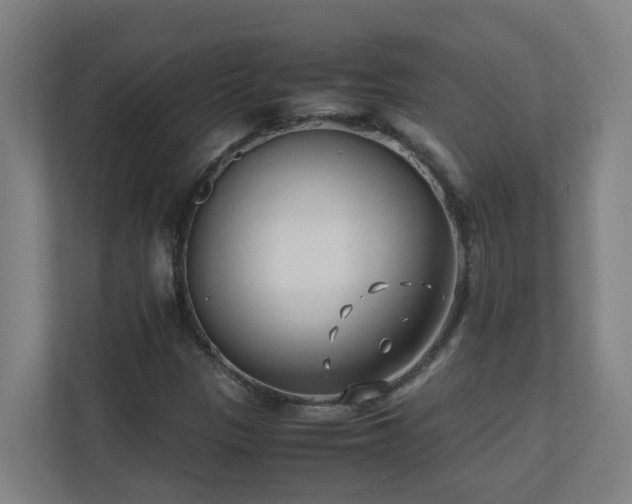 X0000110771305200906151318