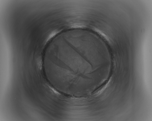 X0000110771306200906151318