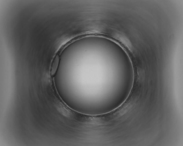 X0000110771308200906151318