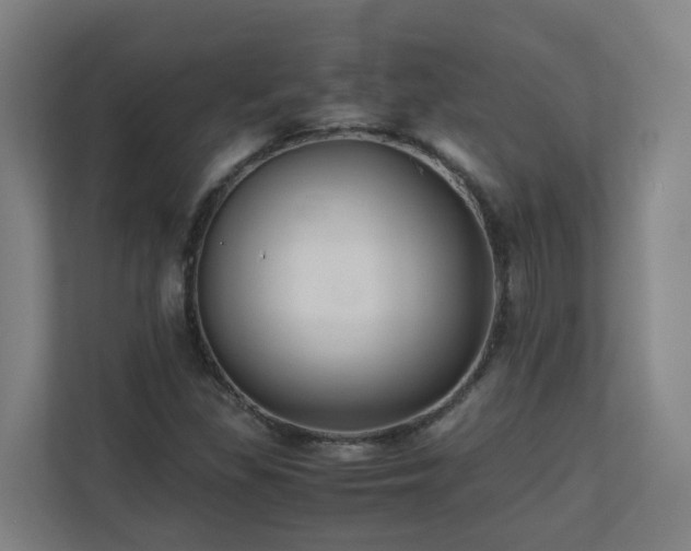 X0000110771309200906151318