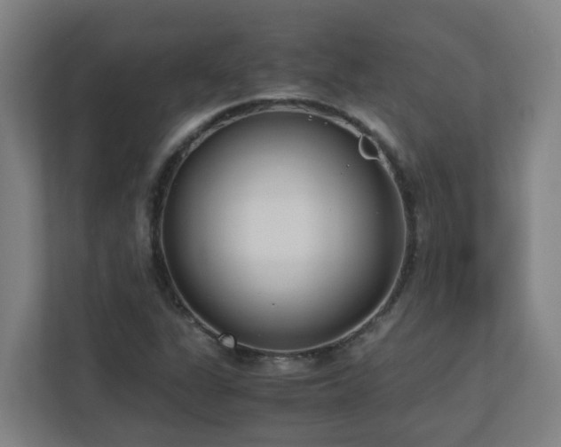X0000110771311200906151318