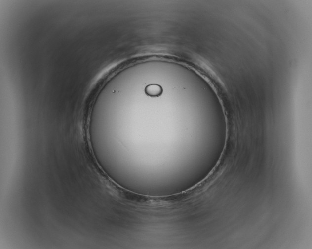 X0000110771312200906151318