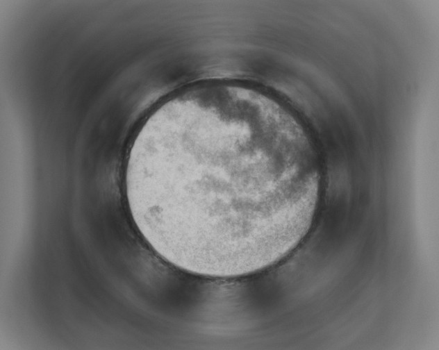 X0000110771314200906151318