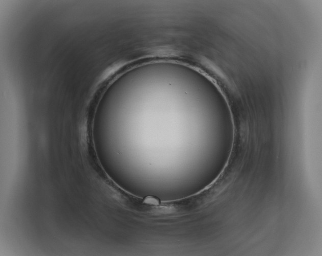 X0000110771315200906151318