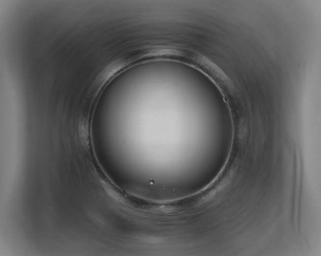 X0000110771321200906151318