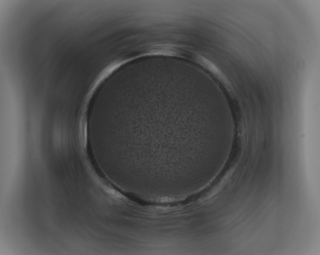 X0000110771323200906151318