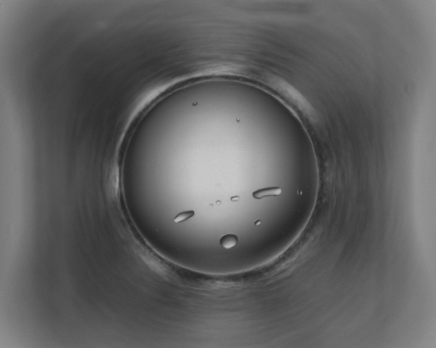 X0000110771324200906151318