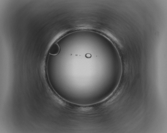 X0000110771325200906151318