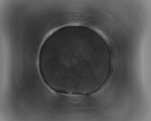 X0000110771327200906151318