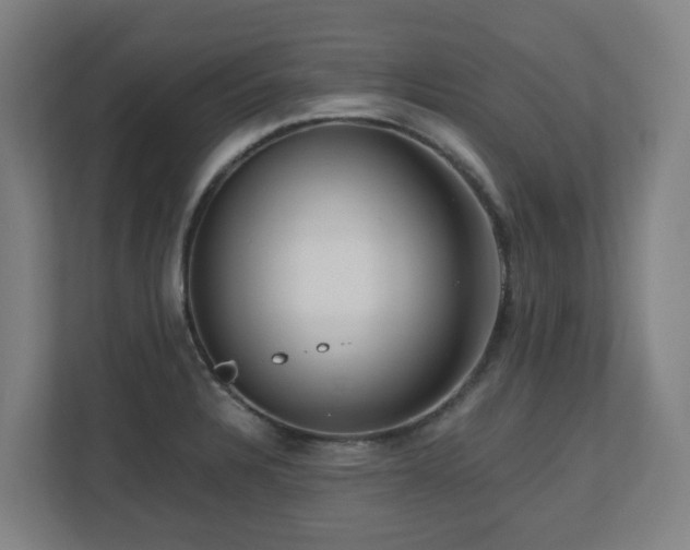X0000110771328200906151318
