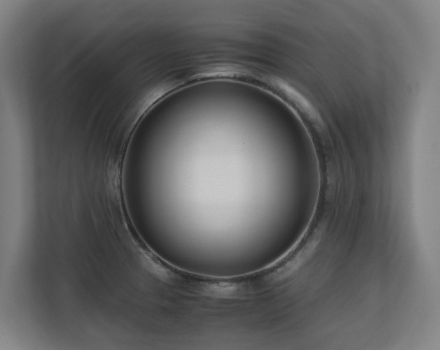 X0000110771329200906151318