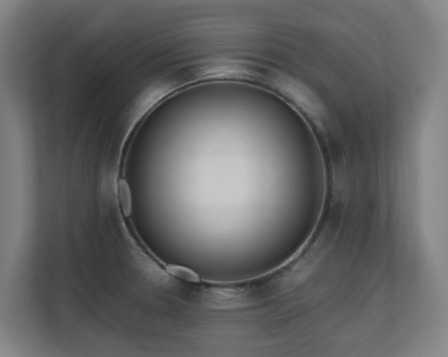 X0000110771330200906151318